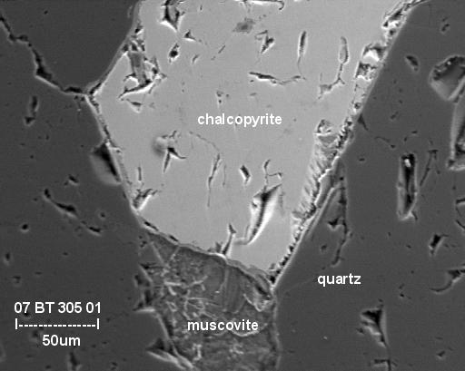 selenide weibullite in arsenopyrite; on right, chalcopyrite in