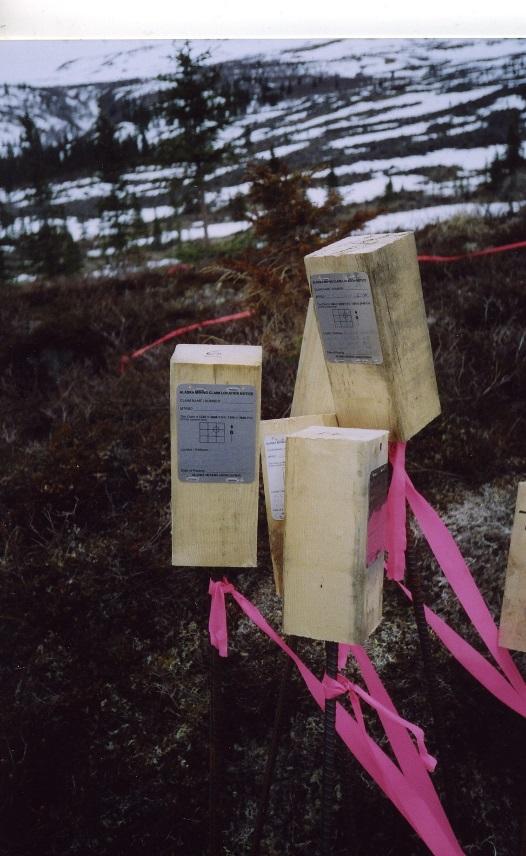 Stakes prepared for deployment in Tolstoi Claim Group Historically Known Significant Metallic Lodes in Tolstoi Claim Group The U.S. Geological Survey Alaska Resource Data File (ARDF) for the Iditarod Quadrangle describes a number of copper, silver and gold prospects mineralization from the Tolstoi Claim Group.