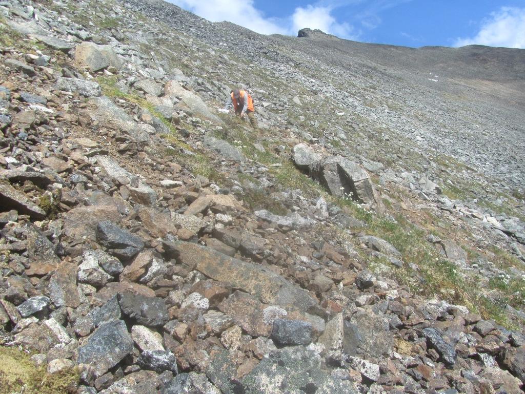 Sampling of in-place rubble and scree of the Beaver Creek structural zone.