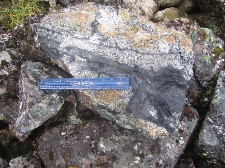 Host rock for the Beaver Creek structure, which trends from the upper left to the lower right corners of the photo is monzonite porphyry. A 3.