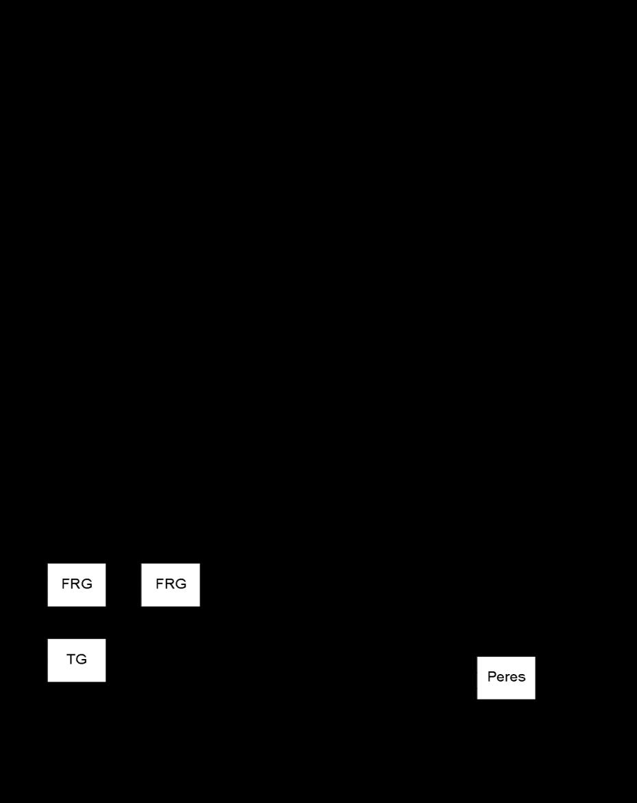 Example Figure 4.2.