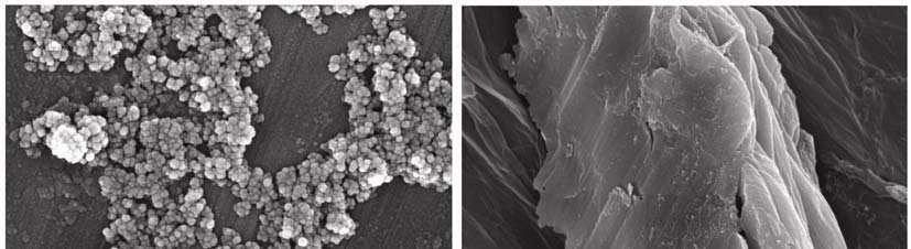 Effect of TiO 2 graphene nanocomposite photoanode on DSSC performance 1179 Figure 2. FE-SEM TiO 2 nanoparticles (left) and graphene sheet (right). Figure 3. FE-SEM cross-section image of the TiO 2 1.