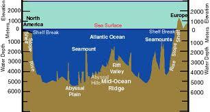 Profile Maps of the Ocean Floor: PART B: Paleomagnetism and the Rate of Seafloor Spreading Background: Some minerals in igneous rocks develop a slight magnetism in alignment with Earth s magnetic