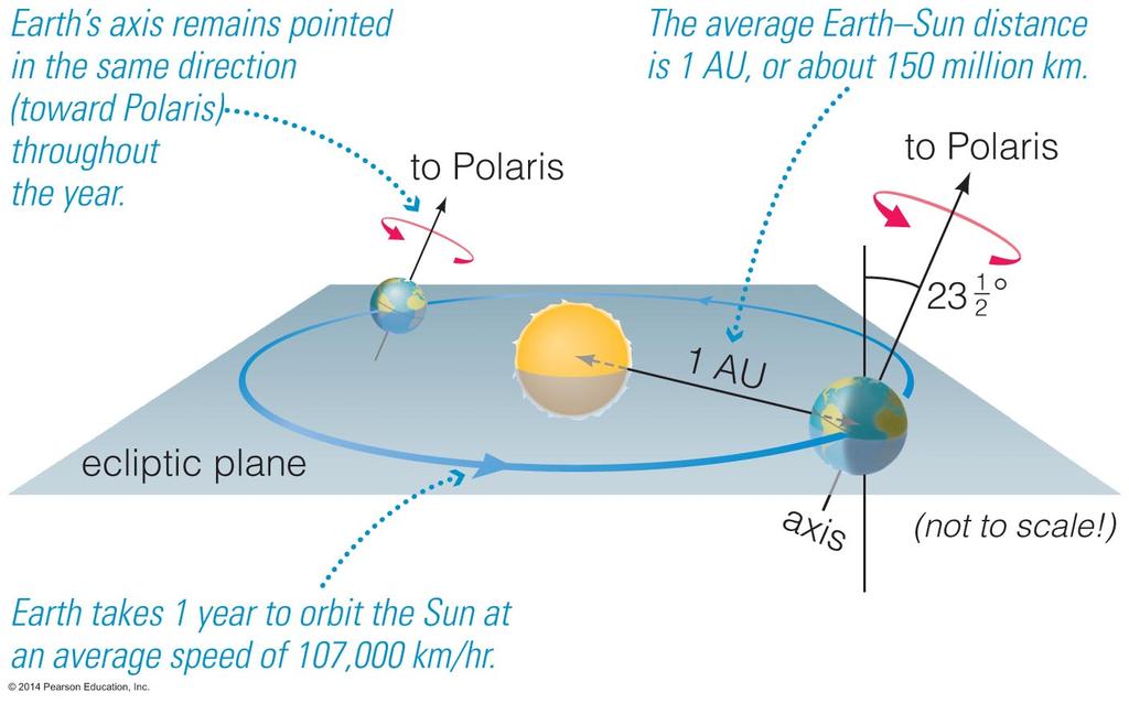How is Earth moving through space? Earth orbits the Sun (revolves) once every year: at an average distance of 1 AU 150 million kilometers.
