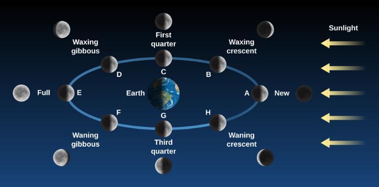 FIGURE 4.14 Phases of the Moon. The appearance of the Moon changes over the course of a complete monthly cycle.