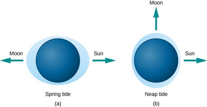 FIGURE 4.19 Tides Caused by Different Alignments of the Sun and Moon.