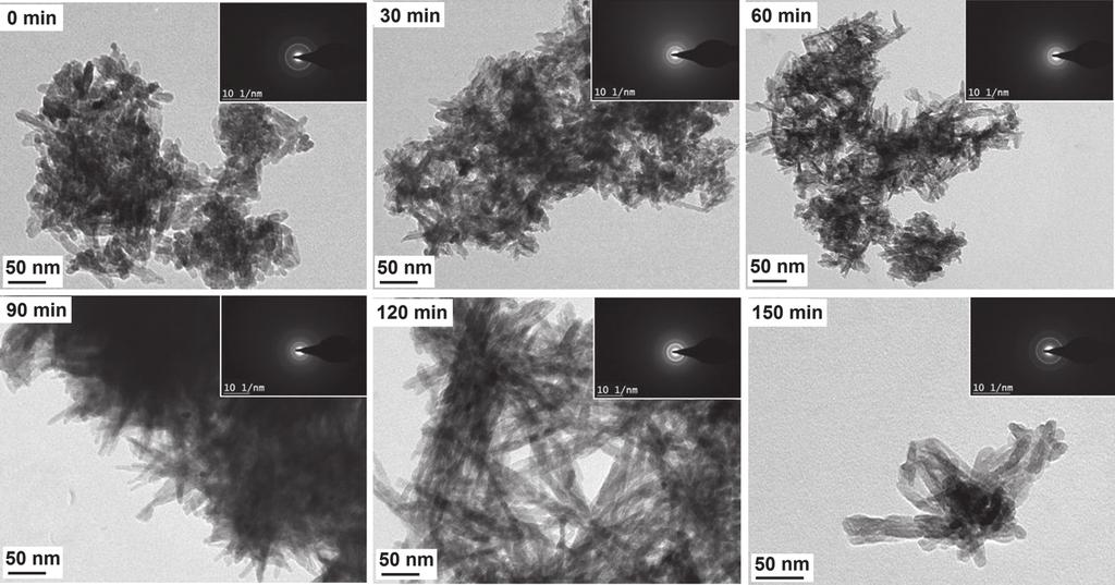 Accelerated Sonochemical Synthesis of Calcium Deficient Hydroxyapatite Nanoparticles Varadarajan et al. Fig.. TEM micrograph of synthesized CDHA with ultrasonic irradiation time.