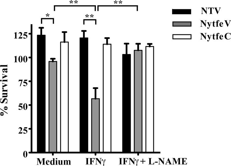 1954 HARRINGTON ET AL. INFECT. IMMUN. IFN-, the survival of the ytfe mutant was decreased by 64% relative to that of the parent and 57% compared to that of the complemented strain.