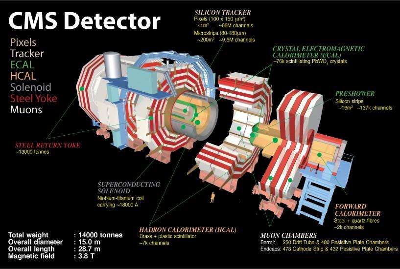 Z CMS τ τ & ATLAS μ + τ jet detector analysis