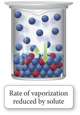 vaporization 2 condensation 2 H O (l) H O (g) What is the effect of a nonvolatile solute on the vapor pressure of a the liquid into which it dissolves?