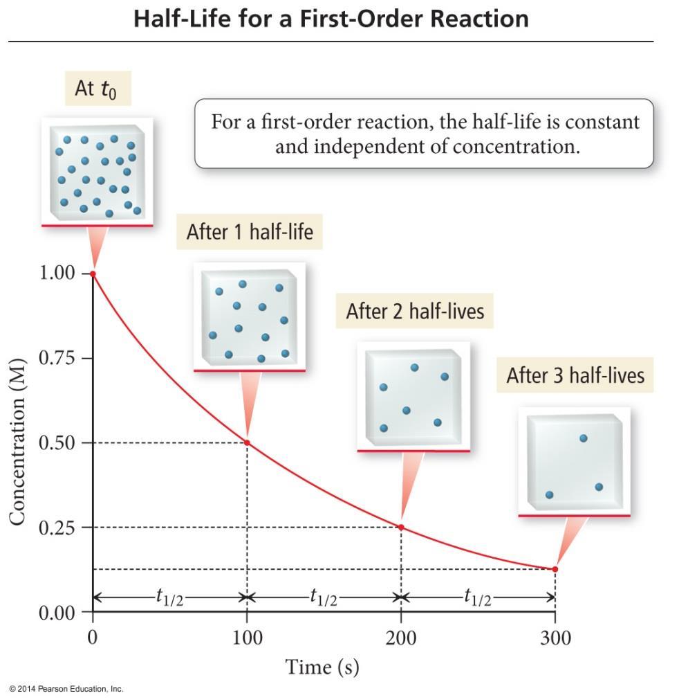 HALF-LIFE (t1/2) OF A FIRST ORDER REACTION Half-life is the time it takes for the reactant concentration to decrease to one-half of its initial value.