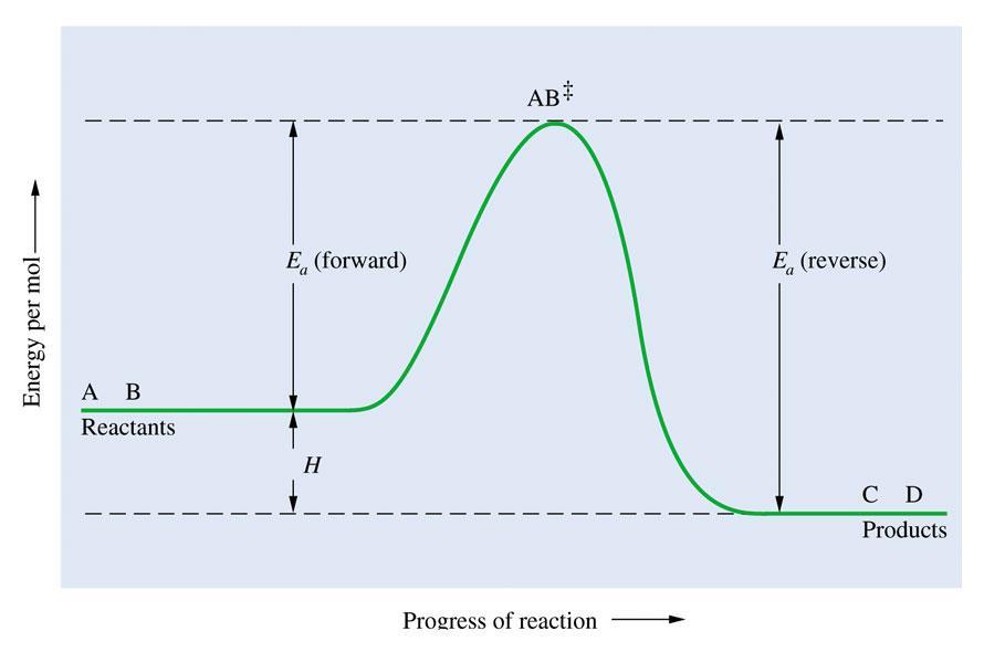 POTENTIAL ENERGY DIAGRAMS FOR REACTIONS A potential energy diagram