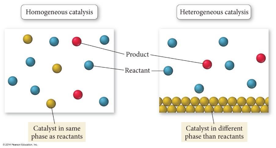HOMOGENEOUS & HETEROGENEOUS CATALYSIS Catalysts can be categorized into two types: homogeneous and heterogeneous.