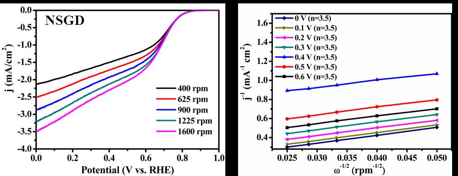 Fig. S12. Linear sweep voltammograms (LSV) curves of GD, NGD, SGD, BGD and FGD obtained from the RDE tests at different rotating rates (400~1600 rpm) in O 2 -saturated 0.