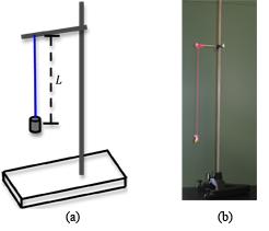 Figure 1: A simple pendulum The period of oscillation T is the amount of time required for a pendulum to go through one complete oscillation.