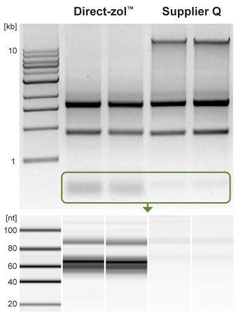 Product Description The Direct-zol RNA MiniPrep provides a streamlined method for the purification of up to 50 µg (per prep) of high-quality RNA directly from samples in TRI Reagent or similar.