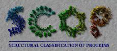 SCOP: Structural Classification of Proteins http://scop.berkeley.edu/index.