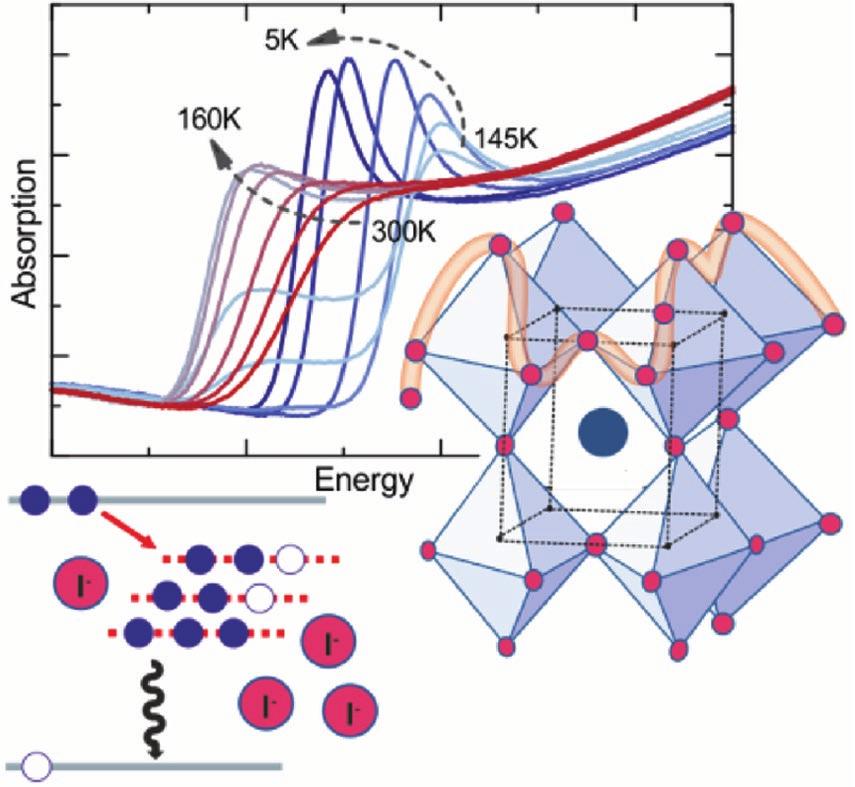 The latest results on structural dynamics and their impact on selected optical properties in methylammonium lead iodide perovskites are highlighted.