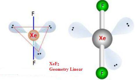 Compounds of Xenon
