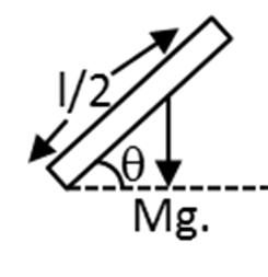 Q. No. Figure shows a uniform rod of length l and mass M which is pivoted at end A such that it can rotate in a vertical plane.