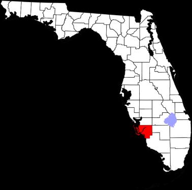 Lee County, Florida Cape Coral Fort Myers MSA Population, Housing and Commercial Demand Forecast The Lee County metro area is located in southwest Florida.