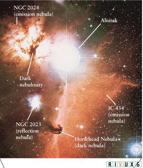 Dust Clouds If dense gas and dust between stars and us see as dark image Horsehead nebula (also