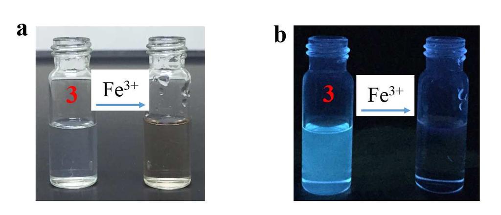 Figure S15. Photographs showing color changes of 2 after adding Fe 3+ ions (a: under natural lighting; b: under 365 nm ultraviolet light).