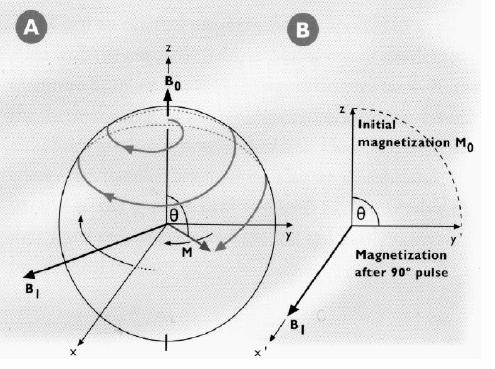 Resonance phenomenon Magnetization can be flipped toward the xy-plane by adding energy to the system by
