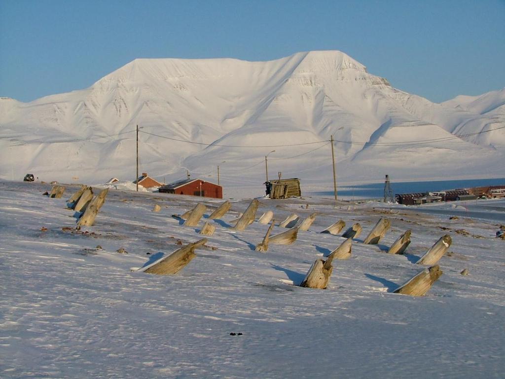 Old Longyearbyen house piles
