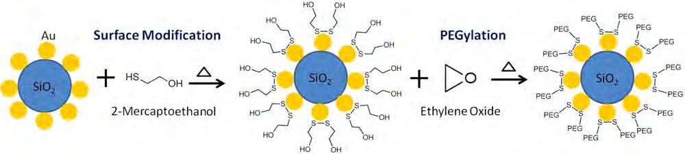 Figure 1. Reaction scheme for PEGylation of gold-decorated silica nanoparticles in the aerosol phase. Figure 2.