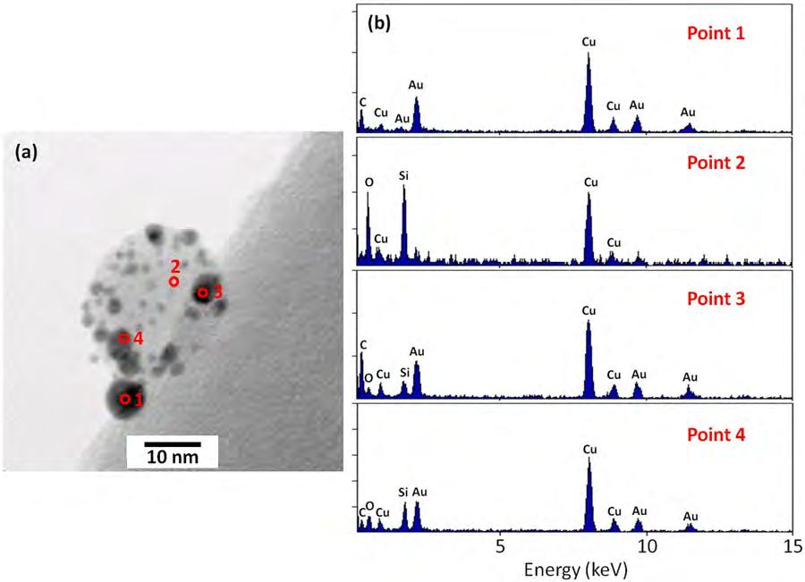 Figure 4. Gold-decorated silica nanoparticle: (a) bright-field STEM image; (b) EDS position scans at points 1 4 labeled on the image. Figure 5.