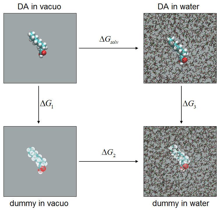 Figure S2. Thermodynamic cycle describing decanoic acid solve in water.