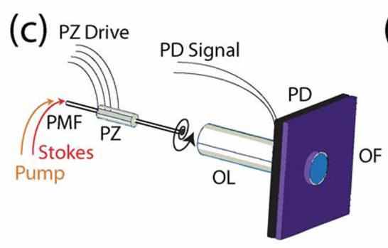 5a. Endoscopes/Fiber scanning Concept: Image fiber tip onto sample, scan fiber Collection of signal by tip-mounted photodiode (PD) limits miniaturization CARS