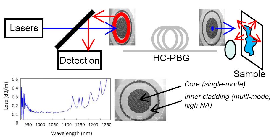 5a. Endoscopes / Fiber scanning Double-clad HC-PBG as endoscope fiber