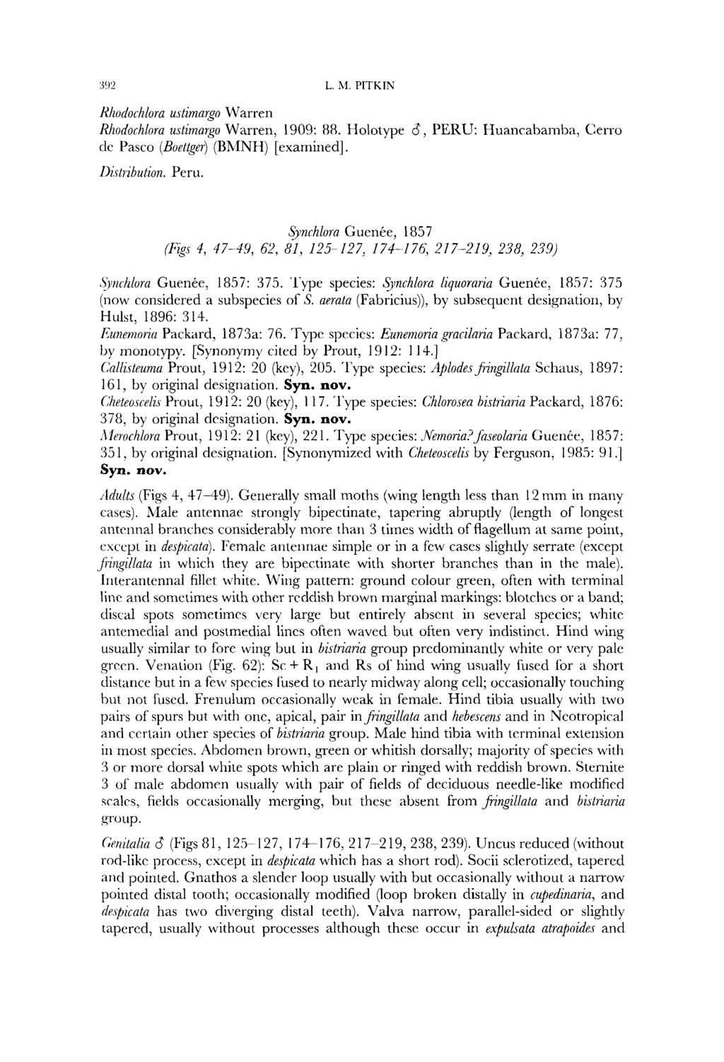 992 L. M. PTTKTN Khodo~hlora uhmayo Warren Khodochlora ustirnargo Warren, 1909: 88. Holotype 8, PERU: Huancabamba, Cerro dc Pasco (Boettger)(BhINH) [examined]. Ilirtizbutzon. Peru.