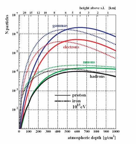 Shower distributions The evolution of a shower is of statistical nature, since the exact point where a given photon materializes or a given electron radiates, or how the energy is shared between the