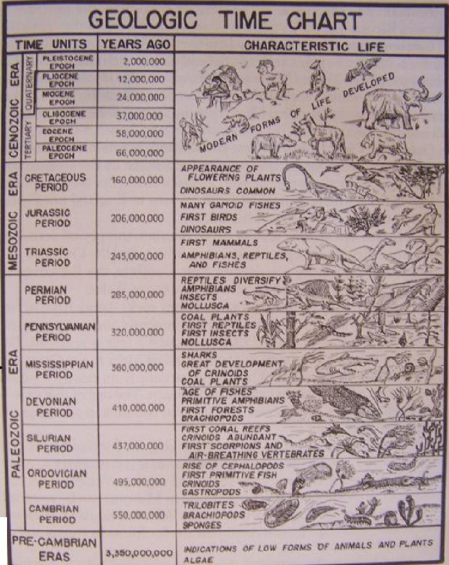 Geologic Time Chart Litzsinger