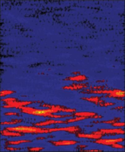 14 3D Microturbulence Modeling S&TR January/February 2002 data analysis and visualization tools, is aiding the interpretation of experimental data and the testing of theoretical ideas about