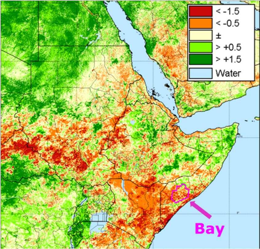 SEASONAL NDVI GRAPHS Let s now compare the relatively low CNDVI of the Gu season for Bay (southern Somalia) to the following June NDVI anomaly maps.