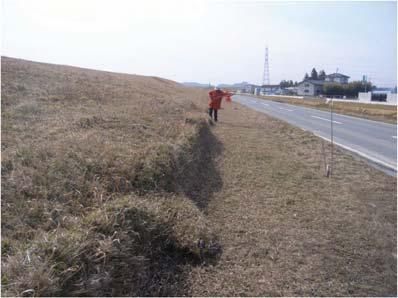 The levee spread laterally on the surface of foundation soil toward hinterland side. There was not any detected deformation outside the levee toe.