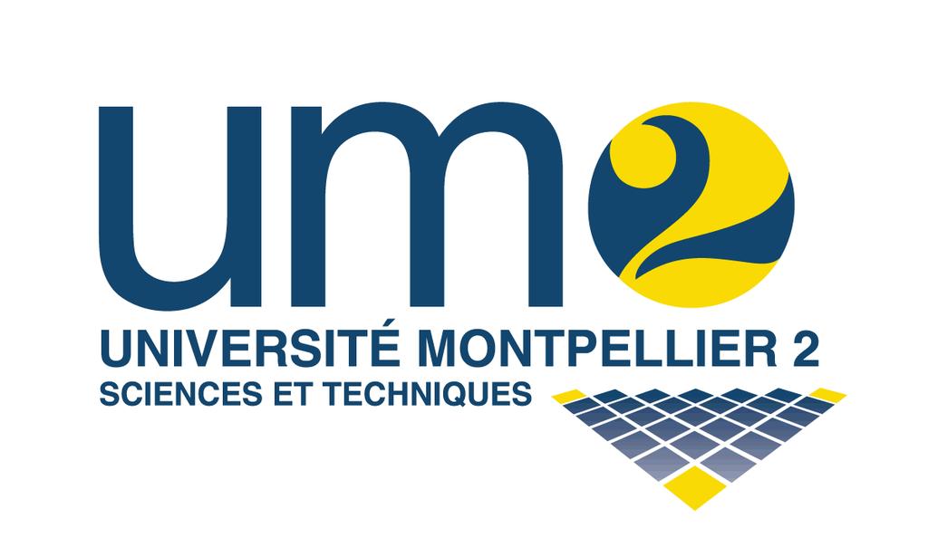 M EEA Systèmes Microélectroniques Polytech montpellier MEA 4 Analog ntegrated
