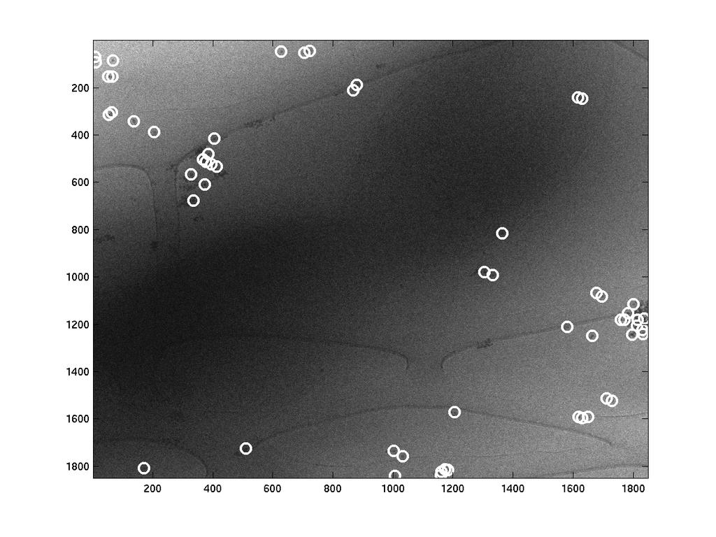 3D Cell Reconstruction correspond tilt images compute 3D reconstruction Matching weights: similarity of location and local neighborhood