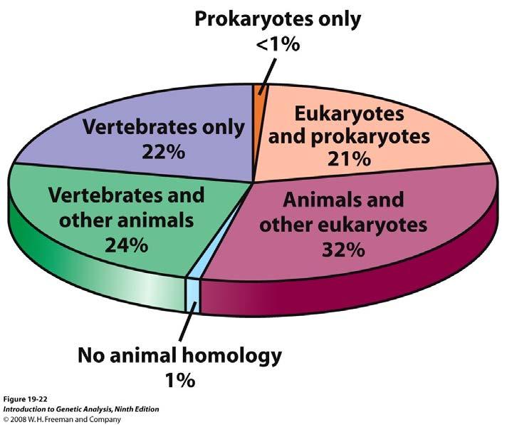 Figure 19-22 (9th edition of IGA) The distribution of human proteins according to the identification of significantly related proteins in other species.