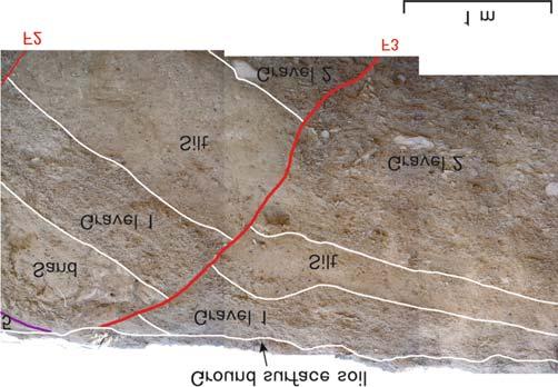 The terrace deposits are highly deformed and rotated. See text for details. Figure 7. Close-view of F3 fault strand displacing Gravel-2, Silt, Gravel-1, and Sand layers of the terrace deposits.