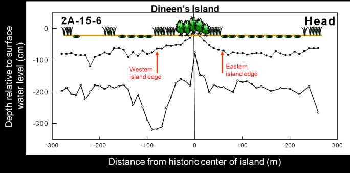Implications for Restoration There is still remnant vegetation and soil microtopography on some ghost islands.