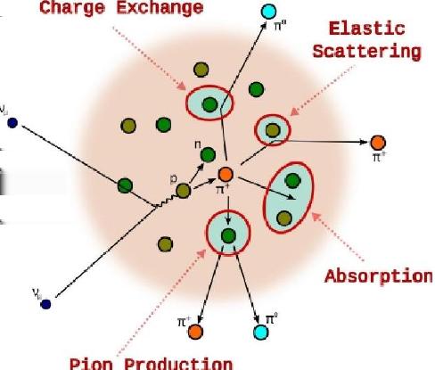Basic interaction modes Nuclear eects Final state interactions: What is observed are particles in the nal state. Pions.