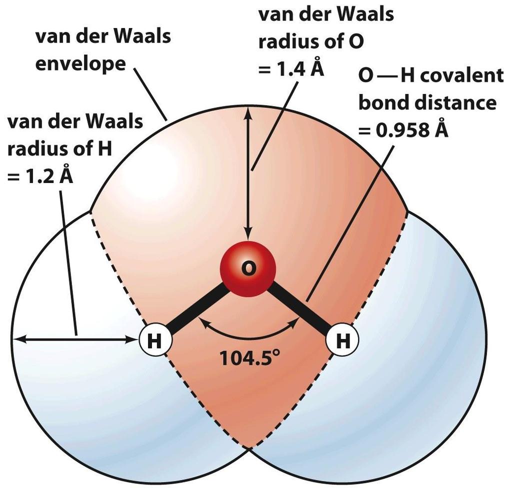 Structure of Water: van der Waals Envelope Johannes van der Waals (1837-1923) - In chemical terms, water is dihydrogen monoxide (H