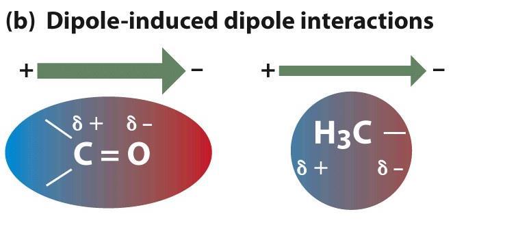 case of such dipolar interactions) polar polar (b) Dipole-induced-dipole interactions permanent dipoles in groups such as C=O can
