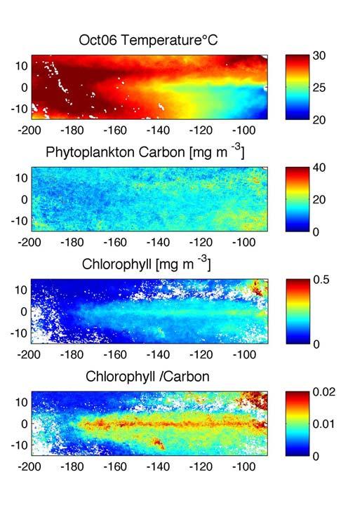 Monthly mean temperature chlorophyll and phytoplankton carbon were then derived from SeaWiFS satellite data for January 2005 through August 2007 (Example Figure 9). Figure 9. Two examples of longitude vs.