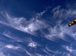 and cirrus mean curly.